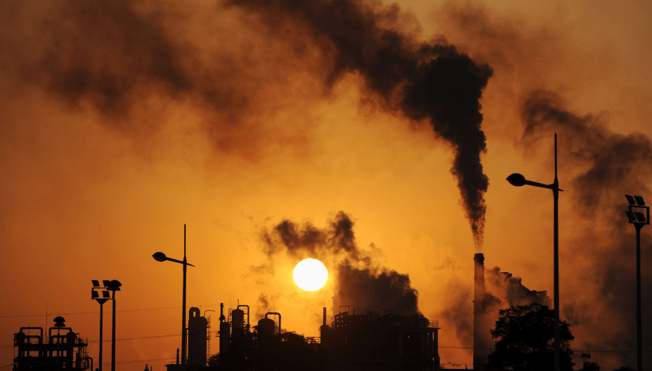 Cow Farts, Climate Change, and Coffee: The Unexpected&nbsp;Connection